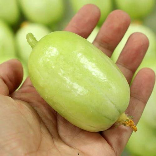 小糖果吃瓜头像,揭秘瓜界萌娃的甜蜜魅力