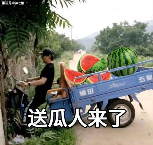 今夜在线吃瓜起点,揭秘娱乐圈背后的秘密