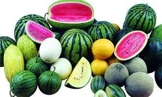 瓜瓜吃瓜的内容,揭秘娱乐圈幕后故事