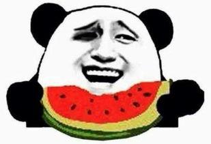 吃瓜群众瓜棚吃瓜,吃瓜群众的欢乐时光