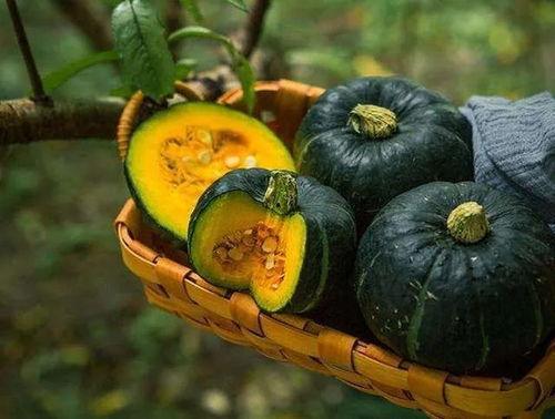 板栗瓜怎么煎着吃