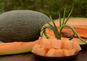 一个人吃哈密瓜好不好吃,究竟好吃与否？