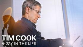 吃瓜youtube,热门视频背后的故事与幕后花絮