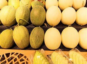 吃西瓜和哈密瓜咳嗽,夏日解暑佳果变“催咳剂”？西瓜与哈密瓜的咳嗽之谜