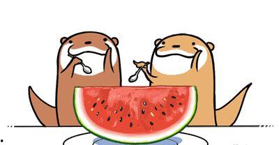 水獭不吃鱼吃瓜,揭秘奇特的食性之谜