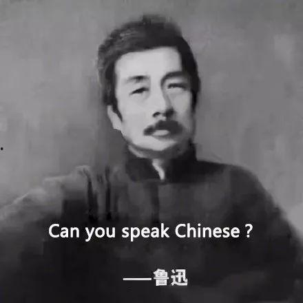 鲁迅麻瓜吃麻瓜,麻瓜世界的荒诞与反思