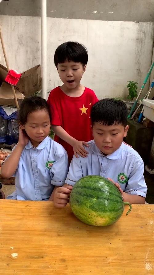 哥哥姐姐吃瓜,揭秘娱乐圈的甜蜜与苦涩