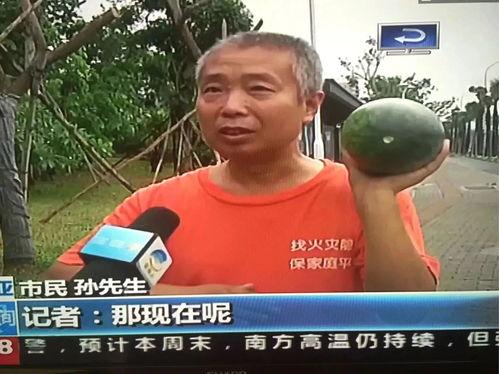 永济吃瓜群众事件,网络舆论下的社会现象解析