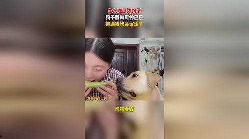 吃瓜眼神交流,揭秘社交背后的微妙互动