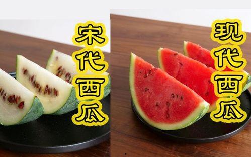 今日吃瓜 人人吃瓜,全民共享的瓜果盛宴