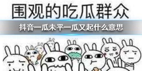 抖音吃瓜系列,揭秘娱乐圈幕后故事