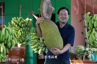 吃瓜发大号1990,揭秘网络舆论的狂欢与反思