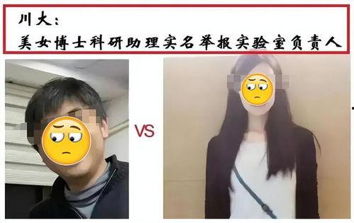ucsd女博士吃瓜,揭秘校园生活点滴