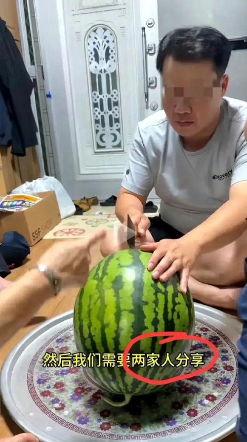 一家人吃瓜,一家人的甜蜜吃瓜时光