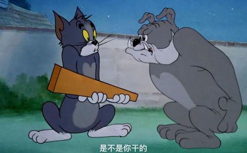 南京杰瑞吃瓜,一场网络热议的幕后真相揭秘