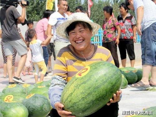 禹城吃瓜事件真相,揭秘背后真相与争议