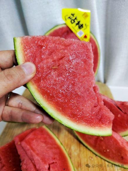 吃瓜只吃西瓜心,揭秘西瓜心背后的独特魅力