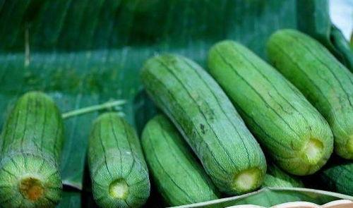 立秋以后吃三瓜