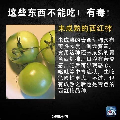 吃瓜转存,轻松捕捉娱乐圈热点