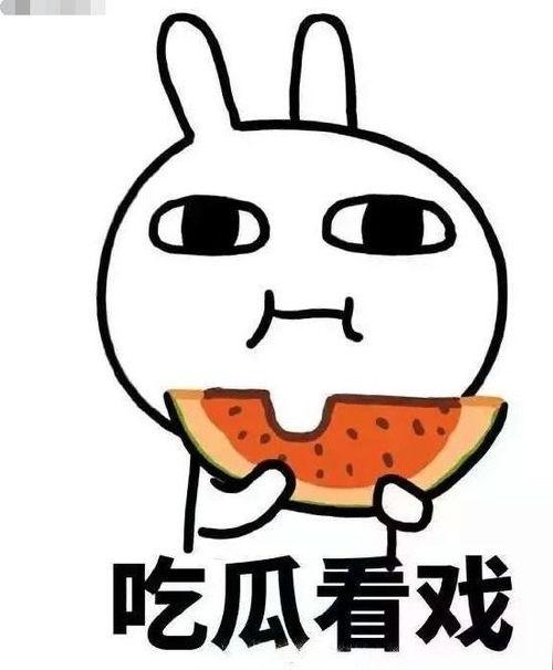 临别吃瓜,一场别开生面的离别盛宴