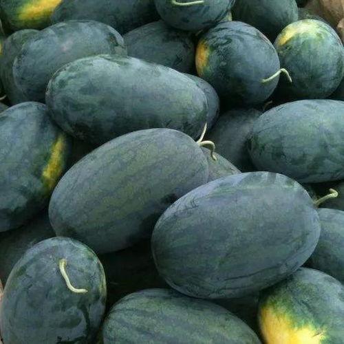 湖北武汉吃瓜,夏日食趣尽享